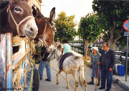 Lefkimmi / Corfu